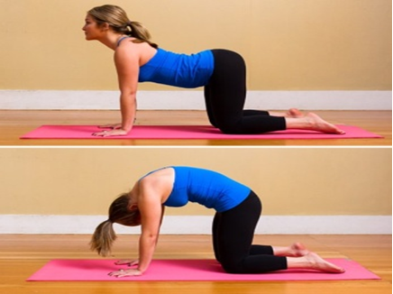 Basic Yoga Poses For Beginners With Images, Yoga Tips & Guide