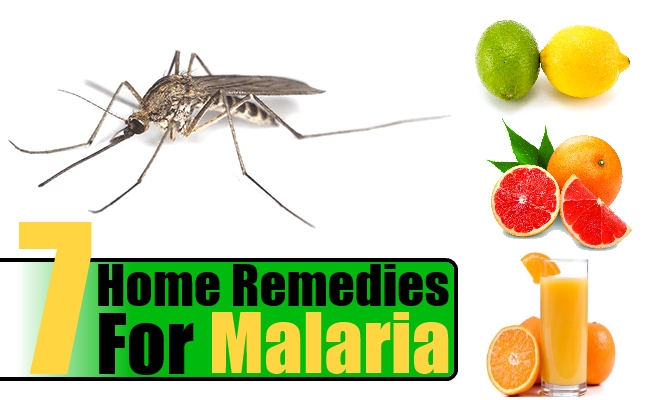 7 Natural Home Remedies for Malaria Disease