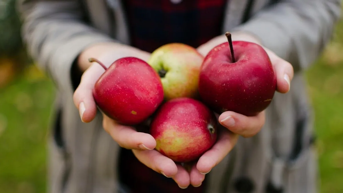 Pros and Cons of Eating Apple Daily